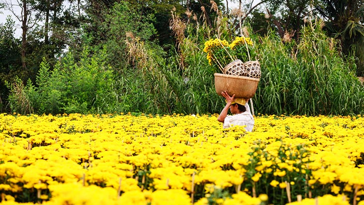 Sa_Dec_Flower_Gardens_in_Mekong_delta_Vietnam_01.jpg