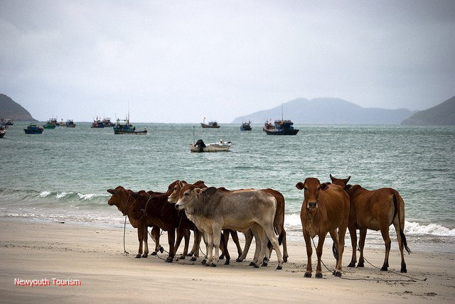 Con_Dao_among_the_top_25_remote_islands_06