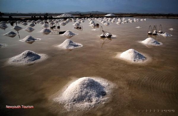 The-Salt-Fields_Near_Nha-Trang-Beach-city-Vietnam-18