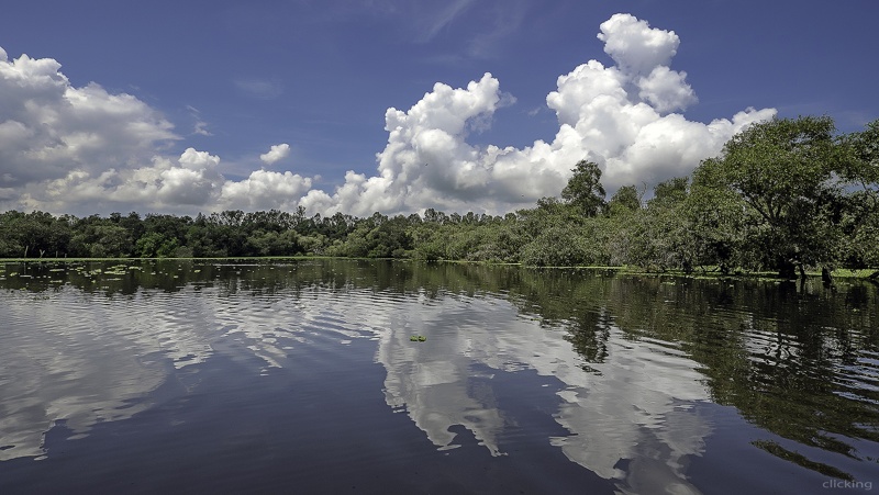 Tra-Su-Melaleuca-forests-Mekong-delta-Vietnam_02