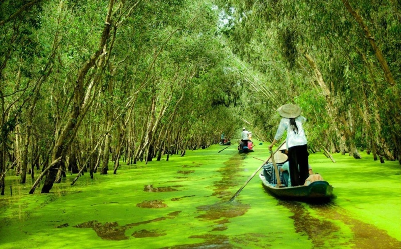 Tra-Su-Melaleuca-forests-Mekong-delta-Vietnam_09