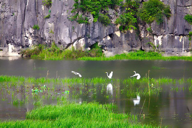 Back to nature at Van Long reserve, Ninh Binh province