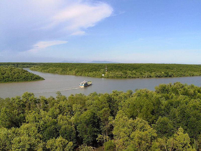 Can Gio Mangrove Forest - top venue for nature lovers