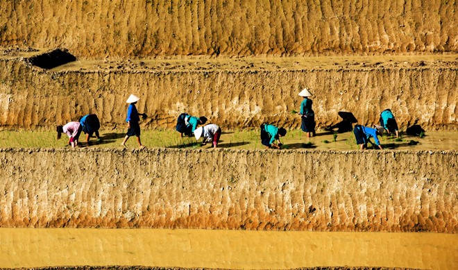 Hoang Su Phi terraced fields in rainy season