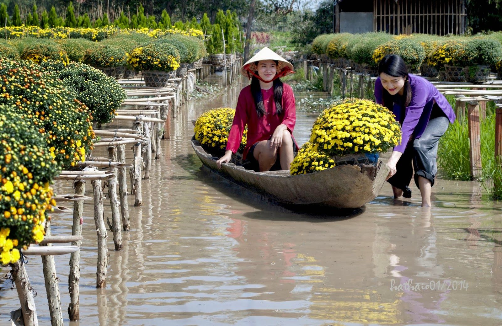 Sa Dec Flower Gardens in Mekong delta, Vietnam
