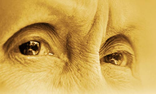 Vu Lan festival in Vietnam